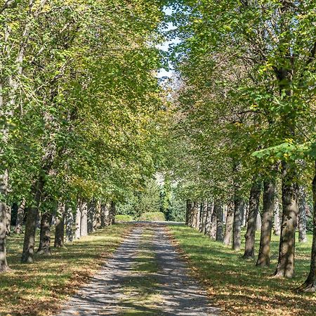 Chateau Du Chambon Cerzat Bagian luar foto