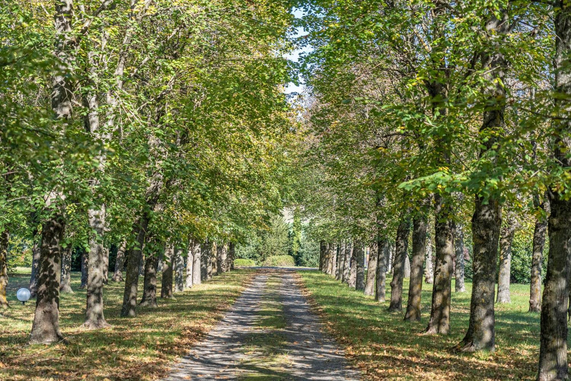 Chateau Du Chambon Cerzat Bagian luar foto